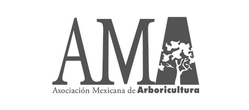 Certificación de gestión ambiental por Asociación Mexicana de Arboricultura