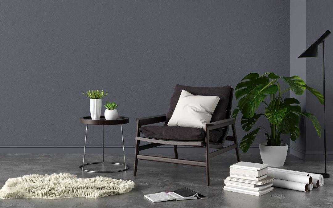 5 recomendaciones para tus plantas de interior