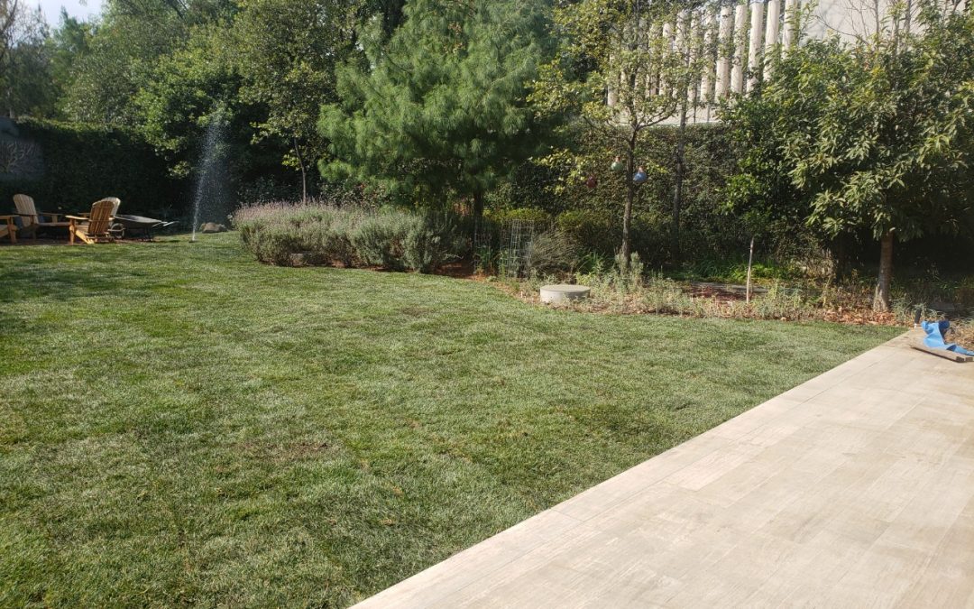 Suministro e instalación de pasto Festuca, Delegación Álvaro Obregón, Ciudad de México