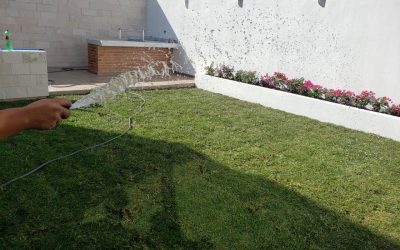 Relleno con tierra negra, suministro e instalación de pasto Cuernavaca y bugambilias