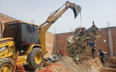 Transplante de Árboles para Walmart, México