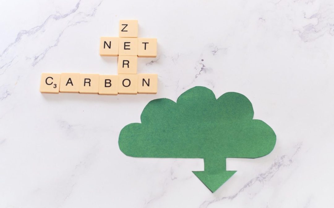 Consultoría de Compensación de Carbono