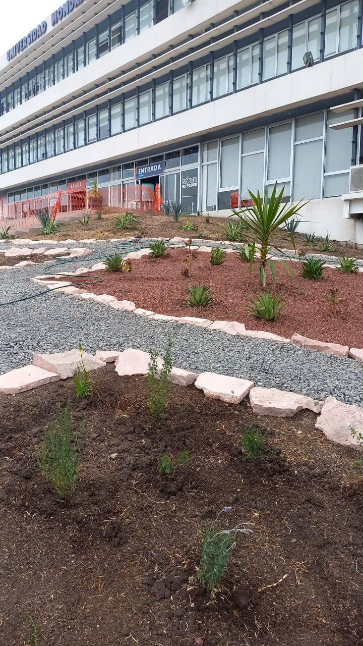 PROYECTO FINAL PAISAJISMO 1 UCO MONDRAGRON QUERETARO