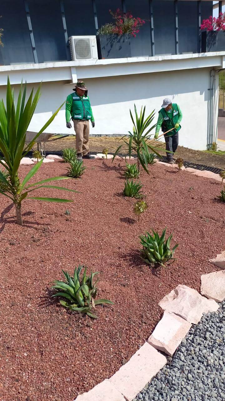 PROYECTO FINAL PAISAJISMO 1 UCO MONDRAGRON QUERETARO