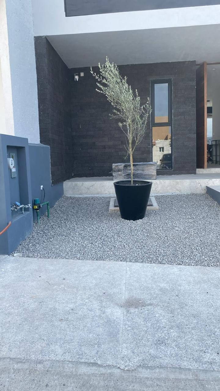 Paisajismo Concá Jardín Frontal